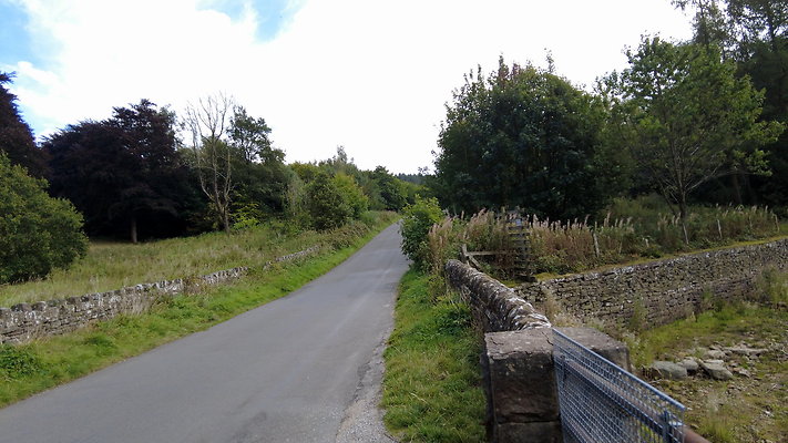 MacclesfieldForest2025074