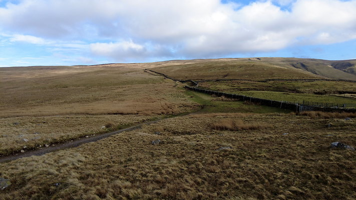 NIneStandardsRiggapproach7