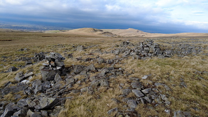 NIneStandardsRiggapproach15