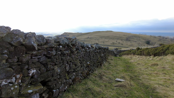 NIneStandardsRiggapproach2