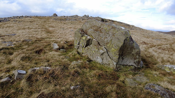 NIneStandardsRiggapproach11