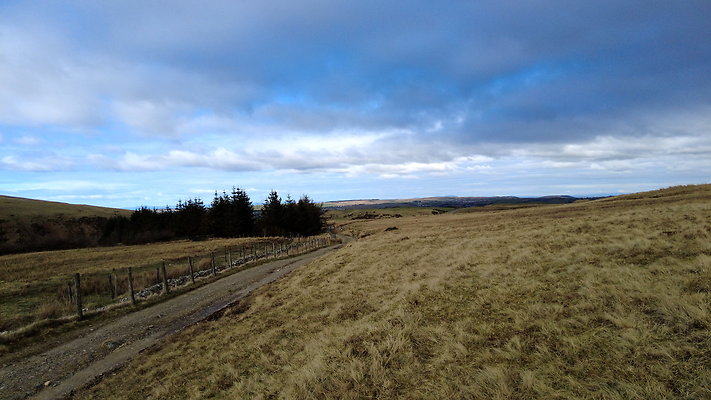 DentFell003