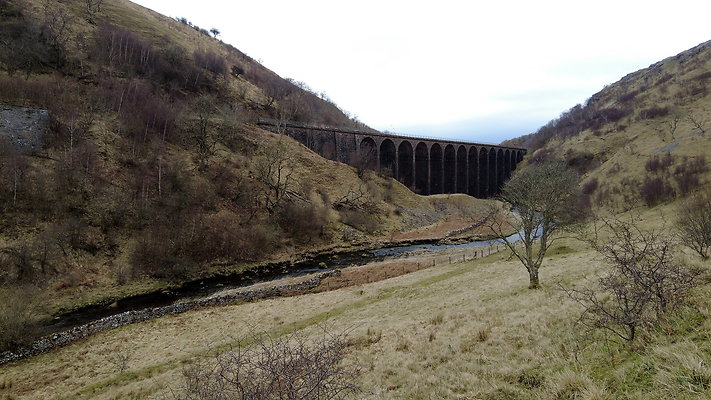 SmardaleGill14