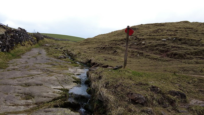 SmardaleGill25
