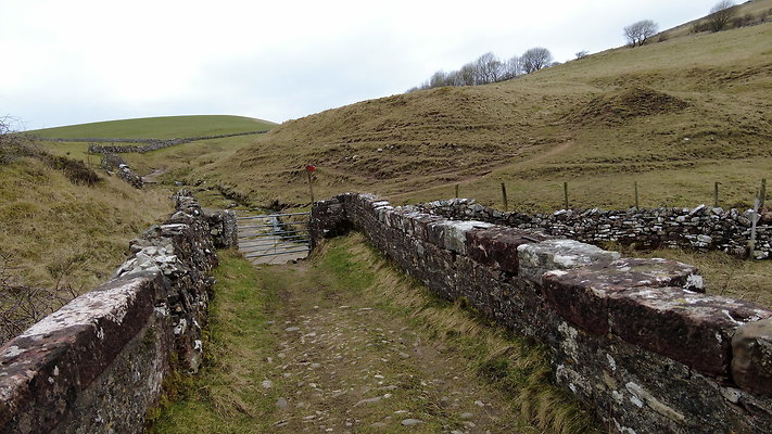 SmardaleGill22