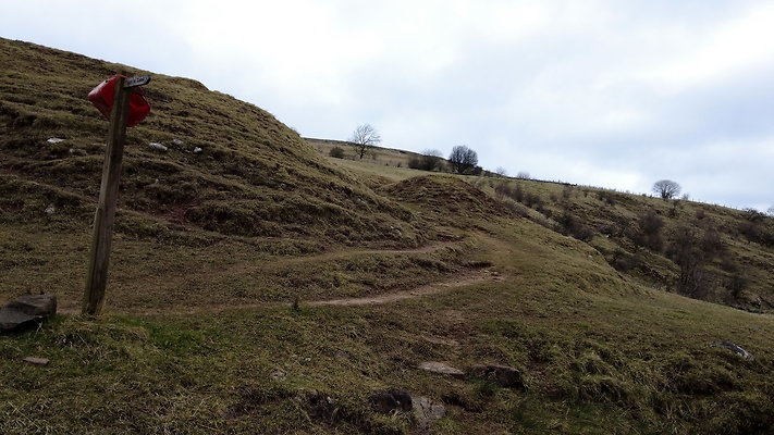 SmardaleGill26