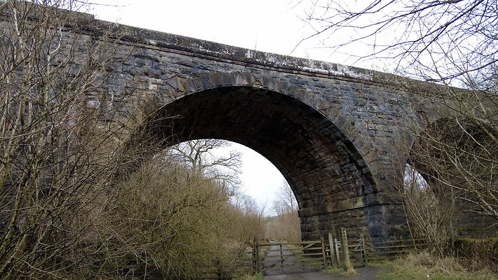 SmardaleGill35
