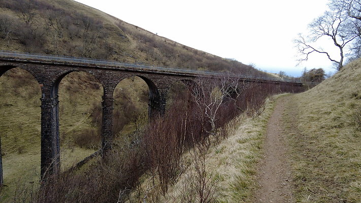 SmardaleGill10