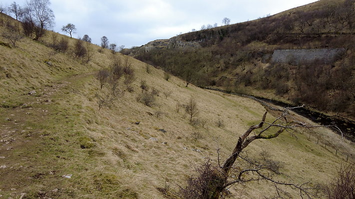 SmardaleGill11