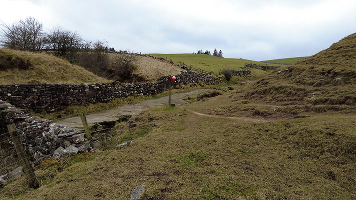 SmardaleGill30