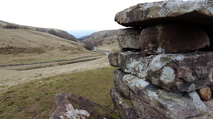 SmardaleGill31