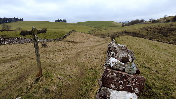 SmardaleGill20