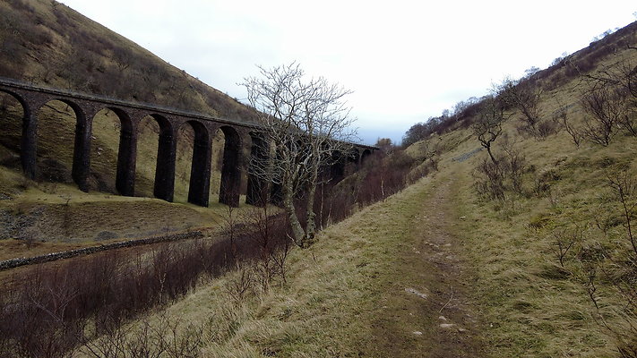 SmardaleGill13