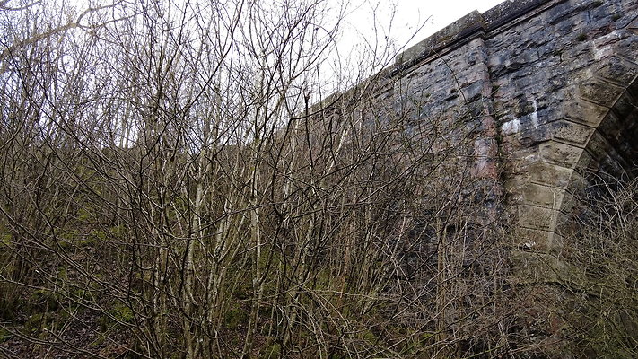 SmardaleGill34