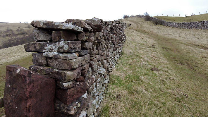 SmardaleGill32