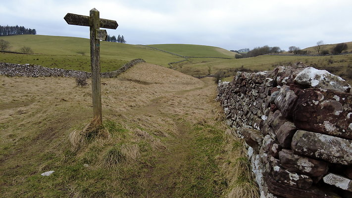 SmardaleGill33