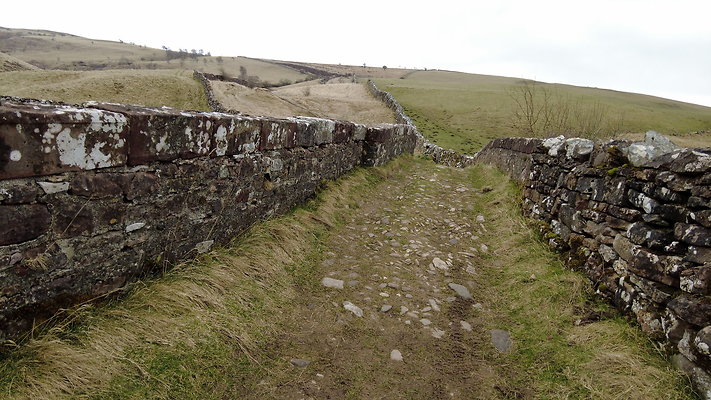 SmardaleGill24