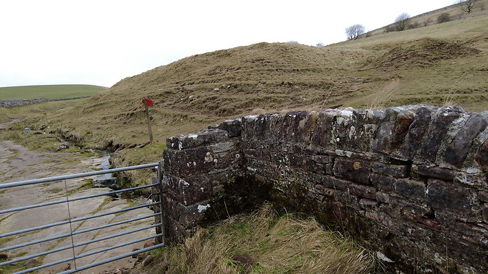 SmardaleGill23
