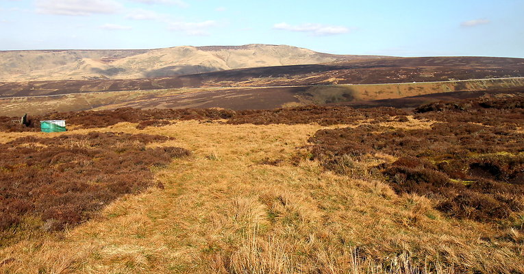 hurstmoor042