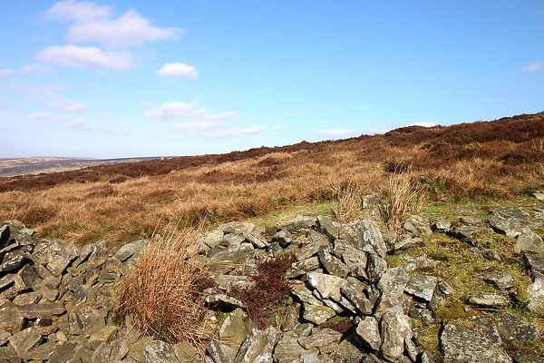 hurstmoor022