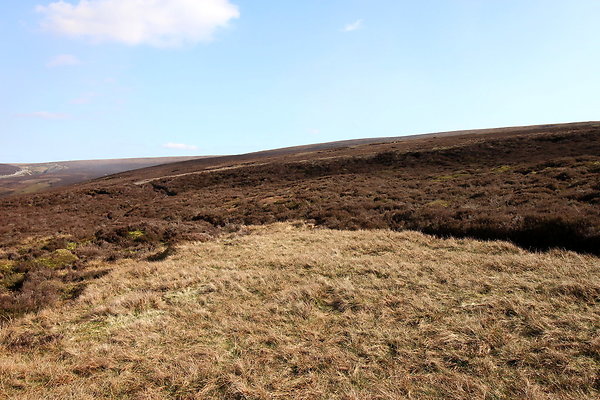 hurstmoor043