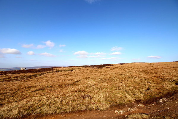hurstmoor033