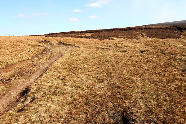 hurstmoor030
