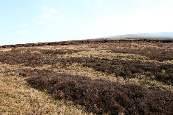 hurstmoor035