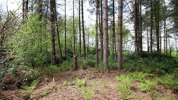 IMG 4697