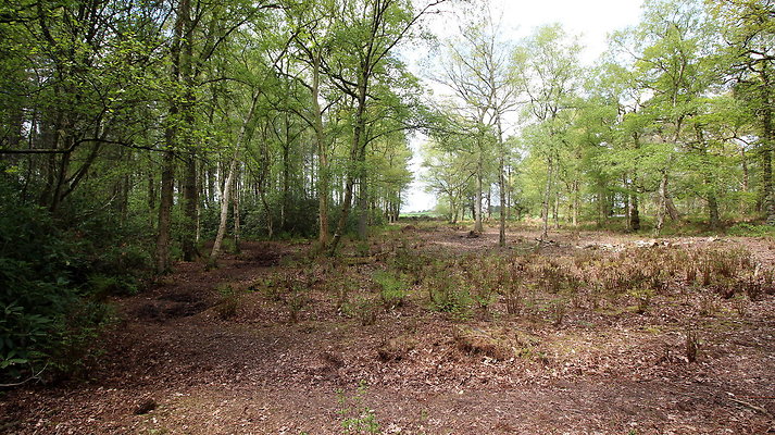 IMG 4691
