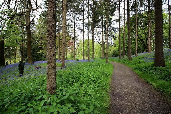 IMG 4653