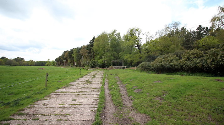 IMG 4713