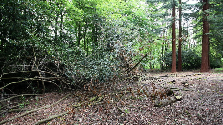 cholmondley059