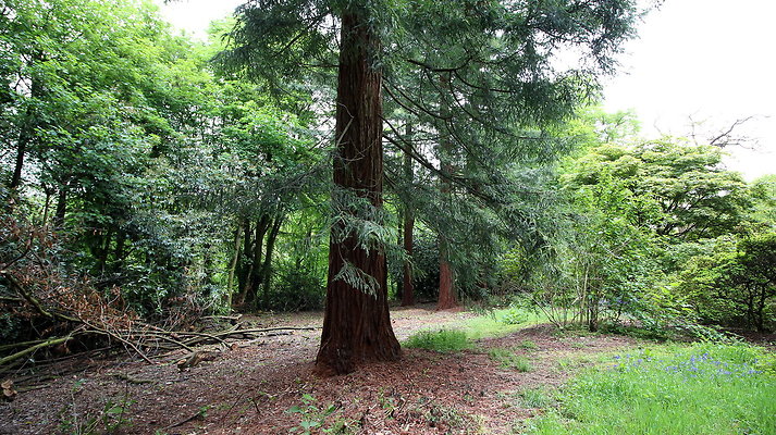cholmondley056