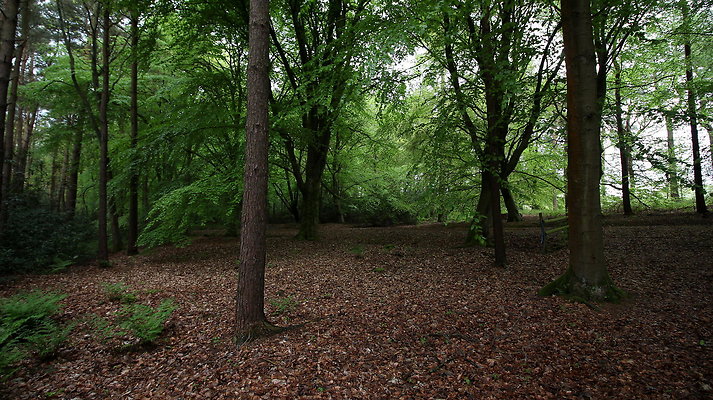 cholmondley017