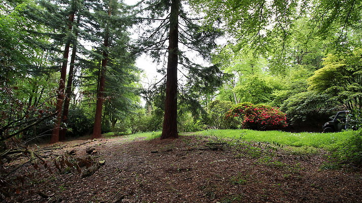 cholmondley061