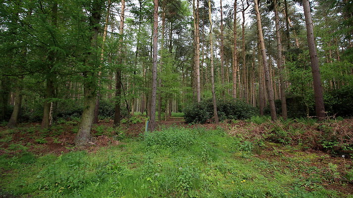 cholmondley045