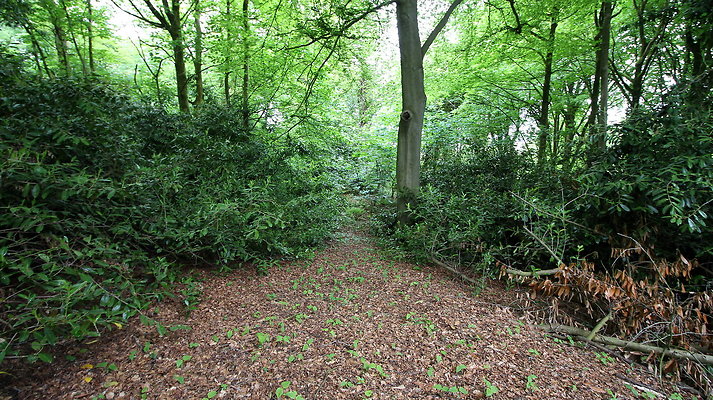cholmondley062