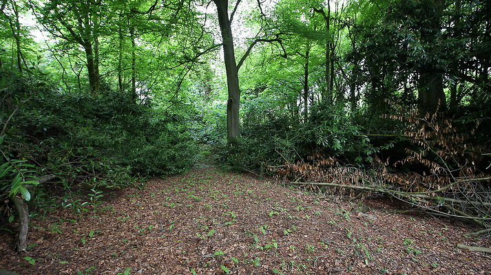 cholmondley058
