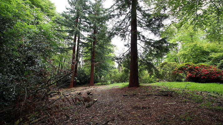cholmondley060