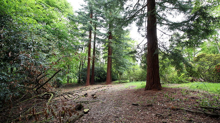 cholmondley057