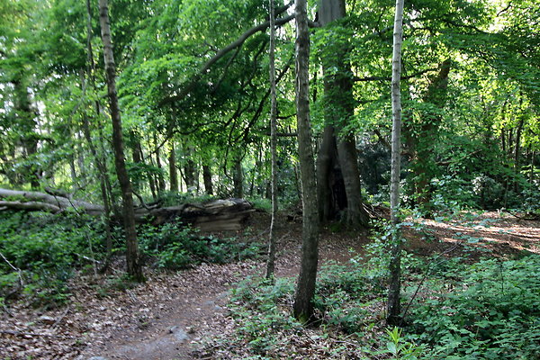 HawardenEstate069