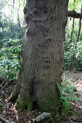 HawardenEstate076