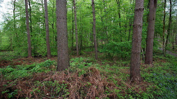 IMG 4773