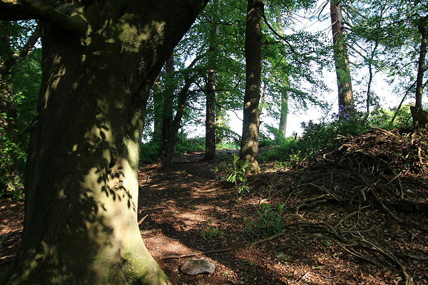 HawardenEstate068