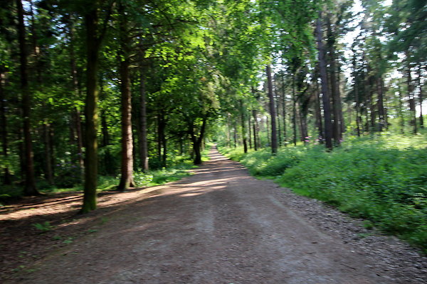 HawardenEstate061