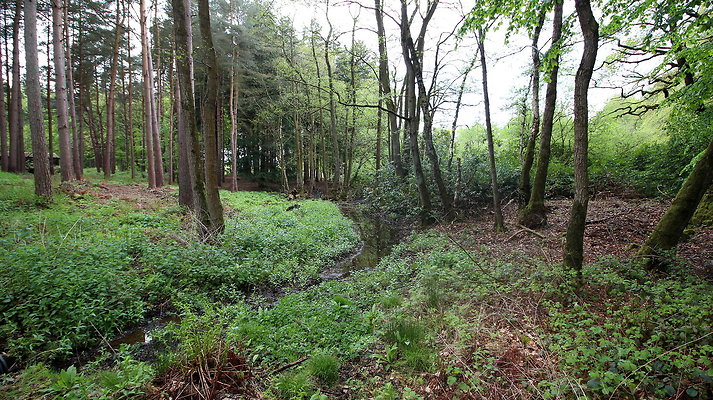 IMG 4769