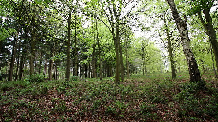 IMG 4783