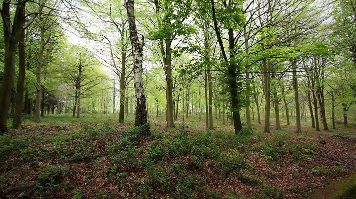 IMG 4784