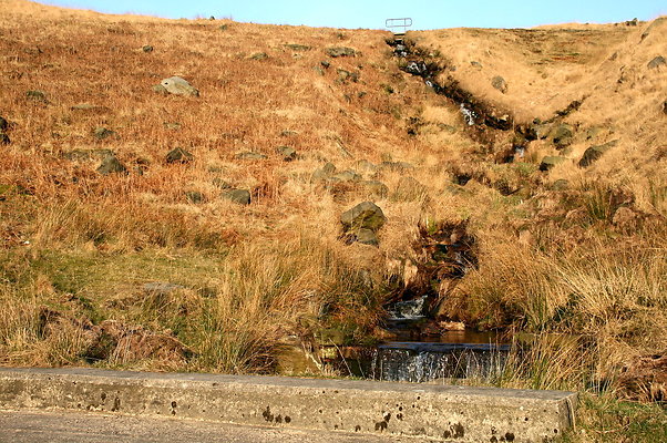 summitchelburn009 1